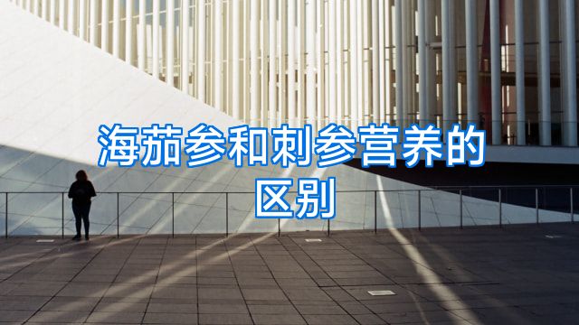 海茄参和刺参营养的区别