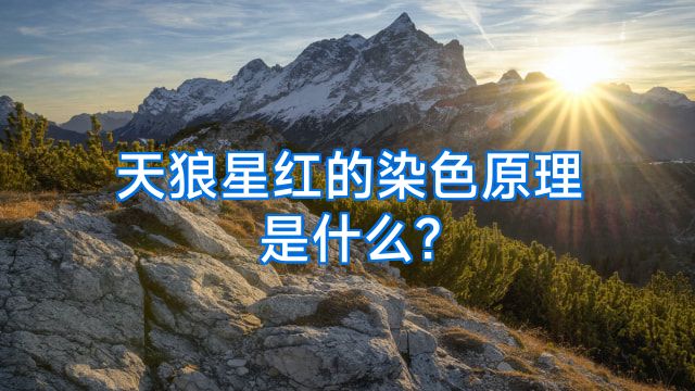 天狼星红的染色原理是什么?