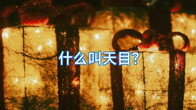 什么叫天目?