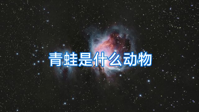 青蛙是什么动物