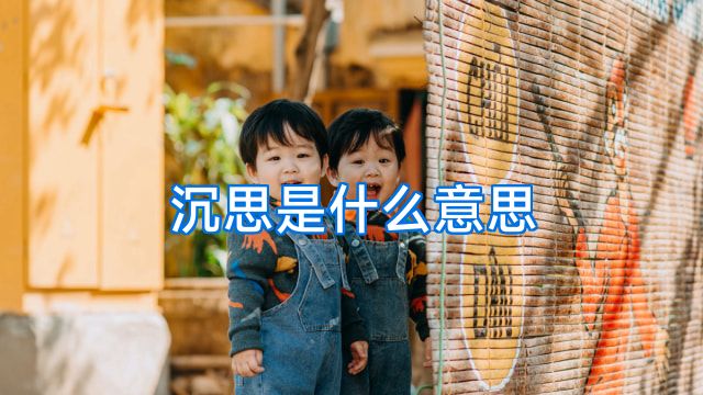 沉思是什么意思