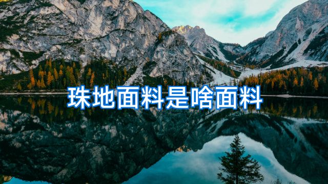 珠地面料是啥面料