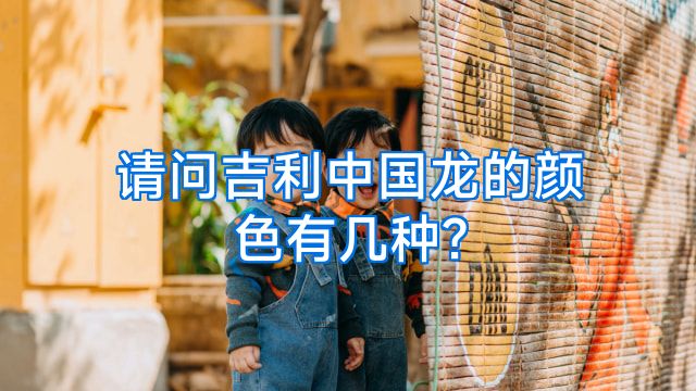 请问吉利中国龙的颜色有几种?