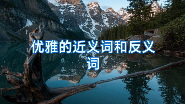 优雅的近义词和反义词