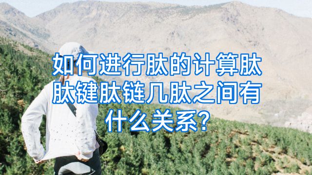 如何进行肽的计算肽肽键肽链几肽之间有什么关系?