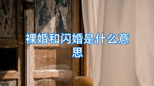 裸婚和闪婚是什么意思