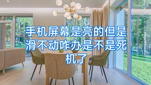 手机屏幕是亮的但是滑不动咋办是不是死机了
