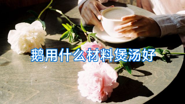 鹅用什么材料煲汤好