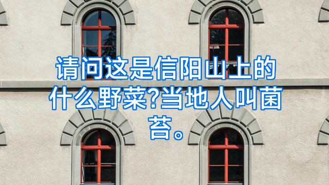 请问这是信阳山上的什么野菜?当地人叫菌苔。