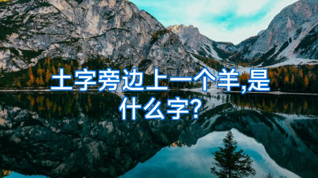 土字旁边上一个羊,是什么字?