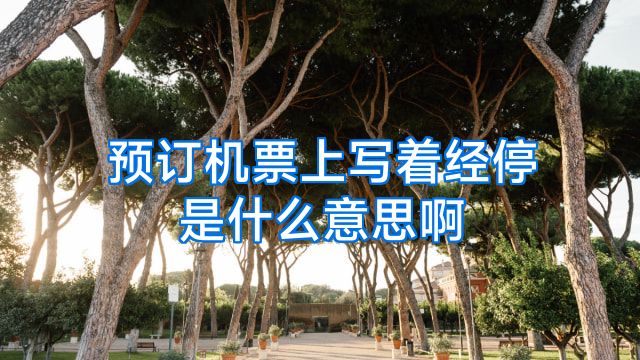 预订机票上写着经停是什么意思啊