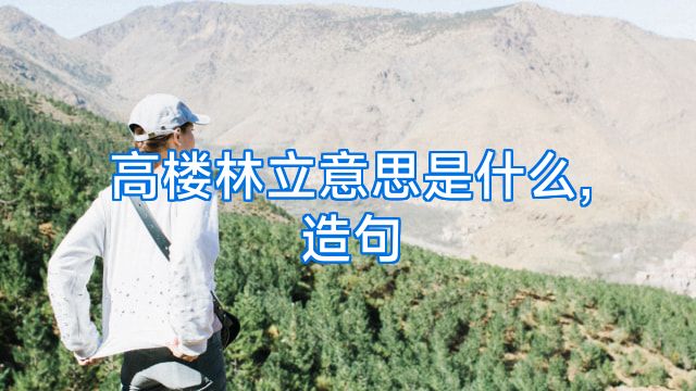 高楼林立意思是什么,造句