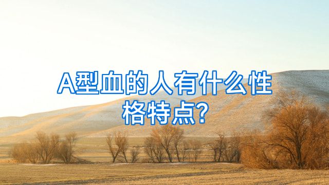 A型血的人有什么性格特点?