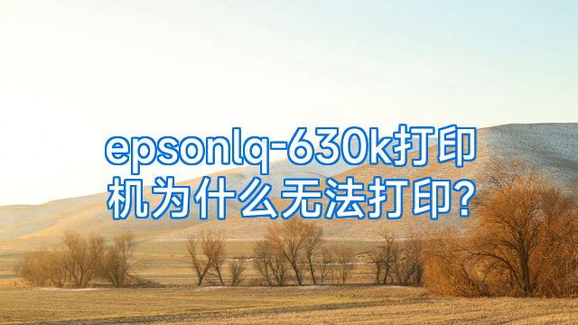epsonlq-630k打印机为什么无法打印?