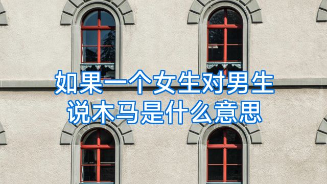 如果一个女生对男生说木马是什么意思