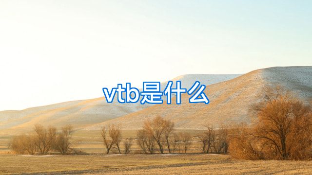 vtb是什么