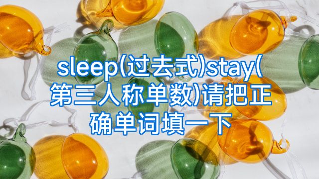 sleep(过去式)stay(第三人称单数)请把正确单词填一下