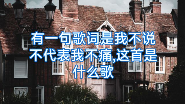 有一句歌词是我不说不代表我不痛,这首是什么歌