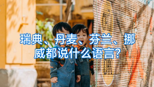 瑞典、丹麦、芬兰、挪威都说什么语言?