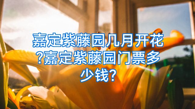 嘉定紫藤园几月开花?嘉定紫藤园门票多少钱?