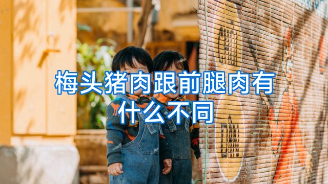 梅头猪肉跟前腿肉有什么不同
