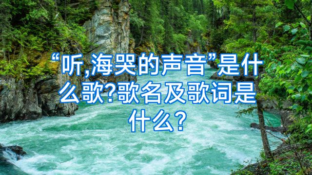 “听,海哭的声音”是什么歌?歌名及歌词是什么?
