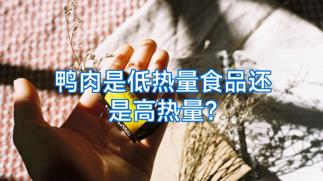 鸭肉是低热量食品还是高热量?