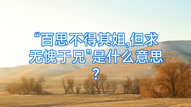 “百思不得其姐,但求无愧于兄”是什么意思?