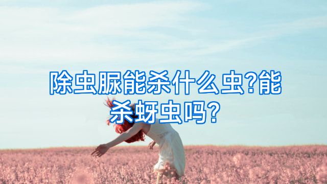 除虫脲能杀什么虫?能杀蚜虫吗?