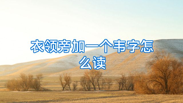 衣领旁加一个韦字怎么读