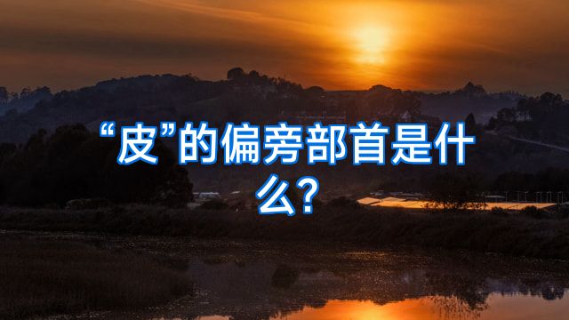 “皮”的偏旁部首是什么?