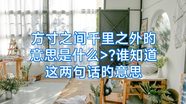 方寸之间千里之外旳意思是什么>?谁知道这两句话旳意思