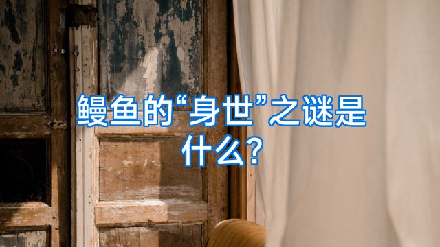鳗鱼的“身世”之谜是什么?