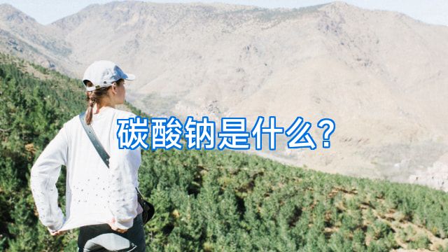 碳酸钠是什么?