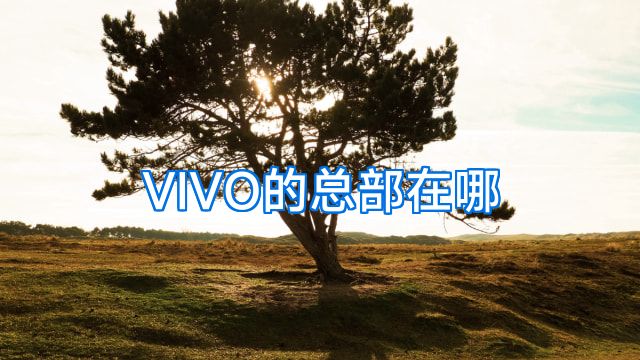 VIVO的总部在哪