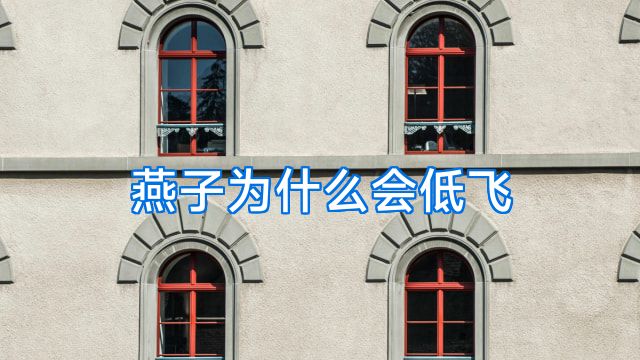燕子为什么会低飞
