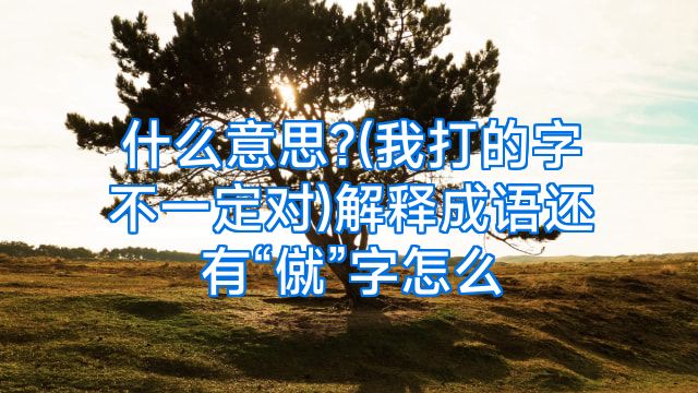 什么意思?(我打的字不一定对)解释成语还有“僦”字怎么