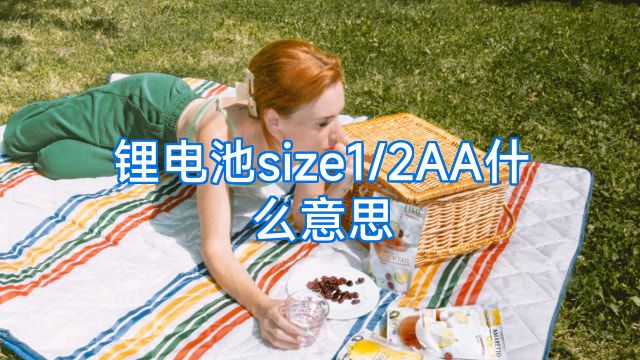 锂电池size1/2AA什么意思
