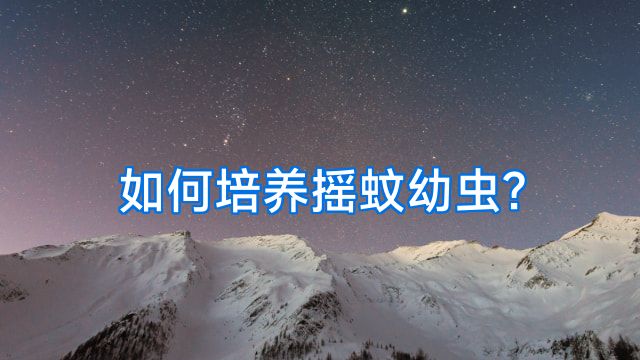 如何培养摇蚊幼虫?