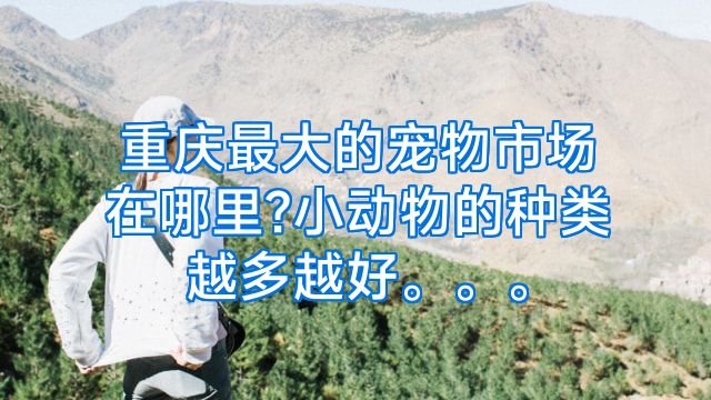 重庆最大的宠物市场在哪里?小动物的种类越多越好。。。