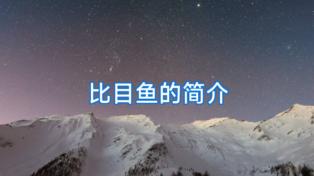 比目鱼的简介