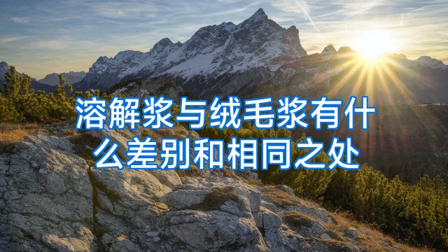 溶解浆与绒毛浆有什么差别和相同之处
