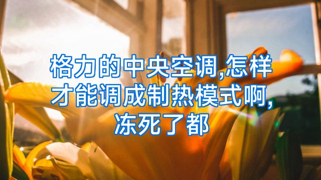 格力的中央空调,怎样才能调成制热模式啊,冻死了都