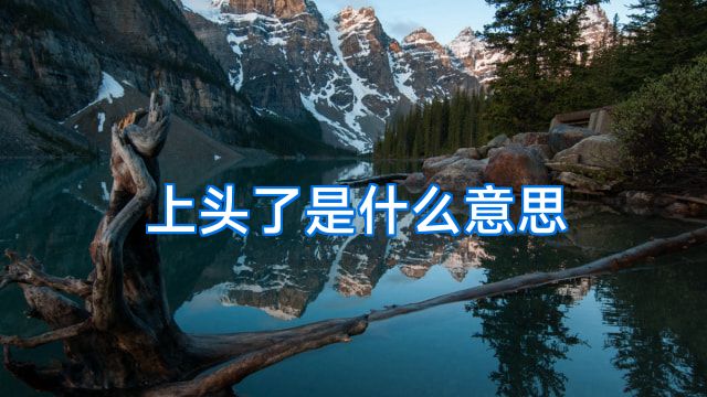 上头了是什么意思