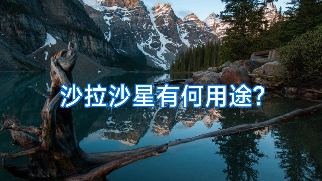 沙拉沙星有何用途?