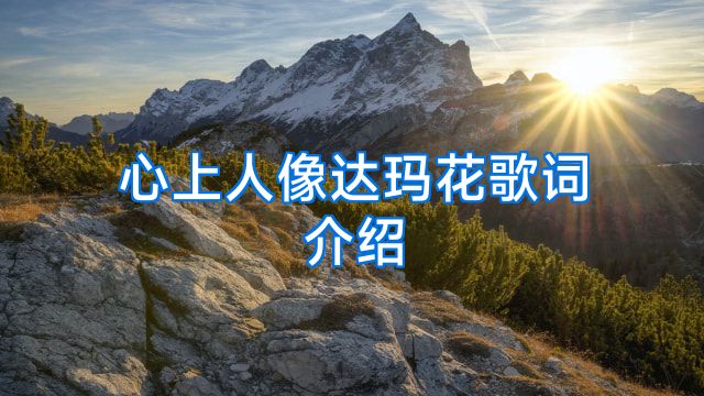 心上人像达玛花歌词介绍