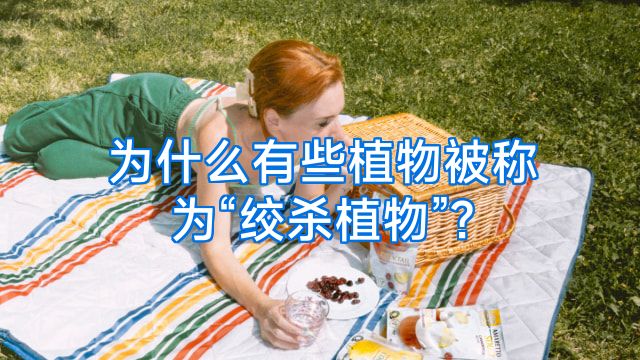 为什么有些植物被称为“绞杀植物”?
