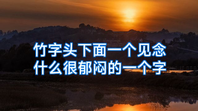 竹字头下面一个见念什么很郁闷的一个字