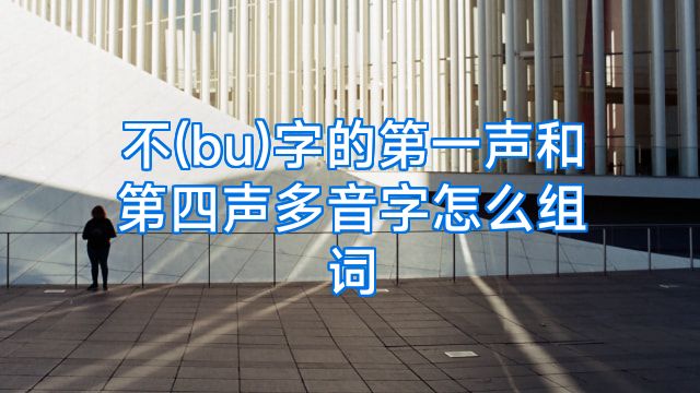 不(bu)字的第一声和第四声多音字怎么组词