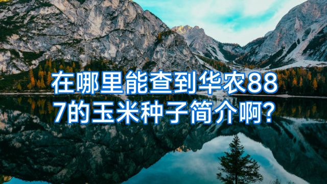 在哪里能查到华农887的玉米种子简介啊?